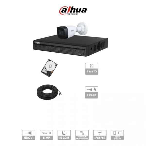Kit vidéosurveillance 1 caméra | 5MP HD | 1 câble 20 mètres | HDD 1To | Tube Dahua